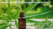 What are CBD Tinctures? – A Guide to Use It