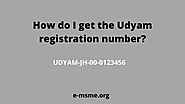 Website at https://e-msme.org/blog/how-do-i-get-the-udyam-registration-number