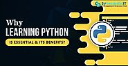 Why Should You Start A Career In Python