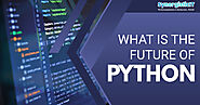 What Is The Future of Python