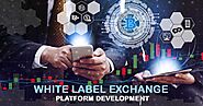 Manage all your digital assets safely by utilizing the services of a White Label Crypto Exchange Platform