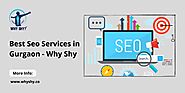 Best Seo services in Gurgaon- Why Shy