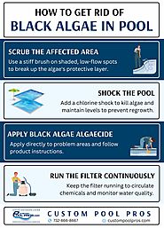 How to Get Rid of Black Algae in Pool