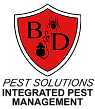 Tips for Pest Control in Your New Home