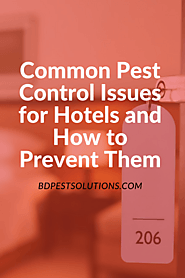 Common Pest Control Issues for Hotels and How to Prevent Them