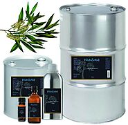 Tea Tree Essential Oil | VedaOils.com