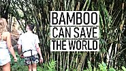 Why Is Bamboo the Most Sustainable Material?