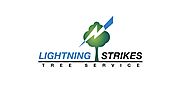 Best tree removal Kingston - Lightning Strikes Tree