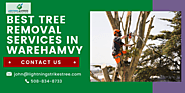 Best tree Removal Services in Wareham