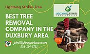 Best Tree Removal Company in the Duxbury area