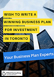 Wish to Write a Winning Business Plan for Investment in Toronto