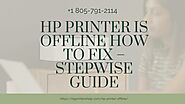 HP Printer Is Offline How to Fix? 1-8057912114 Hp Printer Not Grabbing Paper Fix