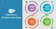 Salesforce Chatter | Salesforce Case and Case Management - DataFlair