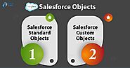 Salesforce Objects - Standard & Custom Objects in Salesforce - DataFlair
