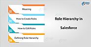 Role Hierarchy In Salesforce - Create & Edit Roles - DataFlair