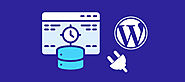 26 Expert Tips to Speed Up WordPress Website - PGBS