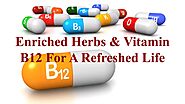 Enriched Herbs & Vitamin B12 For A Refreshed Life by Nethan Paul - Issuu