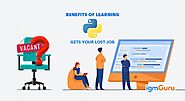 How learning Python Benefits me to Get a Lost Job in a Pandemic? » Dailygram ... The Business Network