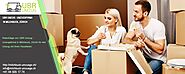 Ratschläge von UBR Umzug : Umzugsfirma in Milchbuck, Zürich für den Umzug mit Ihren Haustieren - UBR Umzug