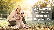 Can Ayurveda and Herbal Remedies Help Your Pet