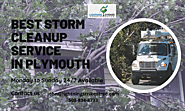 Best Storm Cleanup Service in Plymouth