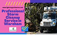 Professional Storm Cleanup Service in Wareham