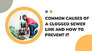 Common Causes of a Clogged Sewer Line & How to Prevent It?