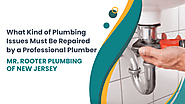 What Kind of Plumbing Issues Must Be Repaired by a Professional Plumber?