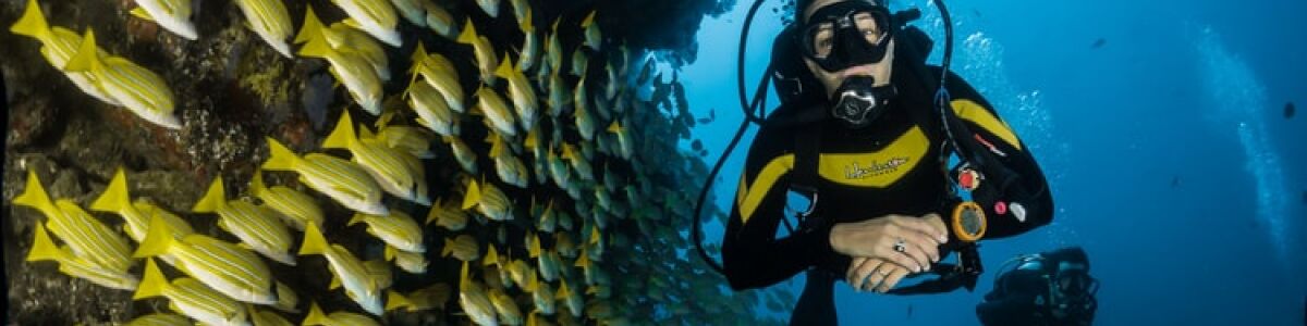 Listly top ways to explore the aquatic world in maldives thrilling underwater discoveries headline