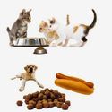 Healthy raw pet food should mixture of protein, vitamins and minerals