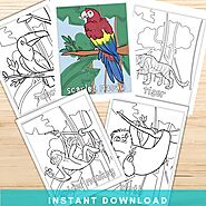 Rainforest Animals Coloring Pages, Printable Animal Coloring Pages, Rainforest Animal Activity, Instant Download