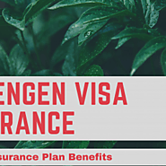 Get Schengen Visa Travel Insurance Plan from Visitors Insurance | Visual.ly
