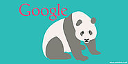 Google Panda keeps on rolling - Algorithm update