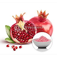Organic Pomegranate Powder Supplier | Bulk Organic Pomegranate Powder