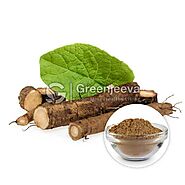 Bulk Organic Burdock Root Powder | Burdock Root Powder Supplier