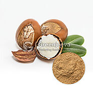 Bulk Soap Nut Extract Powder | Top Soap Nut Extract Powder Suppliers