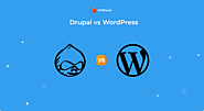 Drupal vs WordPress (2021) - Which one is the Better CMS?
