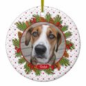 Dog Ornaments For Your Christmas Tree
