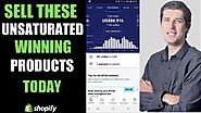 Sell These 3 NEW TRENDING Products And Make $100,000 Shopify Dropshipping