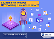 NFT Exchange platform | White Label NFT Exchange Development Company