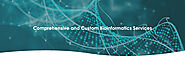 Bioinformatics Services – CD Genomics