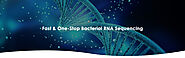 Bacterial RNA Sequencing – CD Genomics