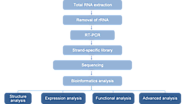 Prokaryotic RNA Sequencing - CD Genomics