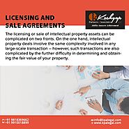 Licensing and Sale Agreements