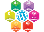 Wordpress Development, Customization, Plugin, Module, Maintenance, Company