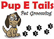 Pet grooming services Torrance CA | Dog spa Service Torrance CA