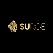 Surge Digital Agency