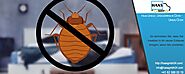 So vermeiden Sie, dass Sie Insekten in Ihr neues Zuhause bringen, wenn Sie umziehen. Haas Umzug : Umzugsfirma in Olte...
