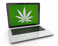 Request Weed Online In Canada And Enjoy These Amazing Benefits