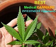 eCommerce Marketing Tips | Shopify Dropshipping Guide: Learn how to participate in the growing medical cannabis market!
